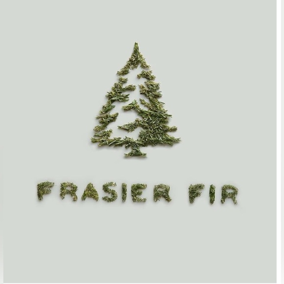 Frasier Fir Reed Diffuser Set 118ml (Heritage, 4 fl oz) - Picture 7 of 7